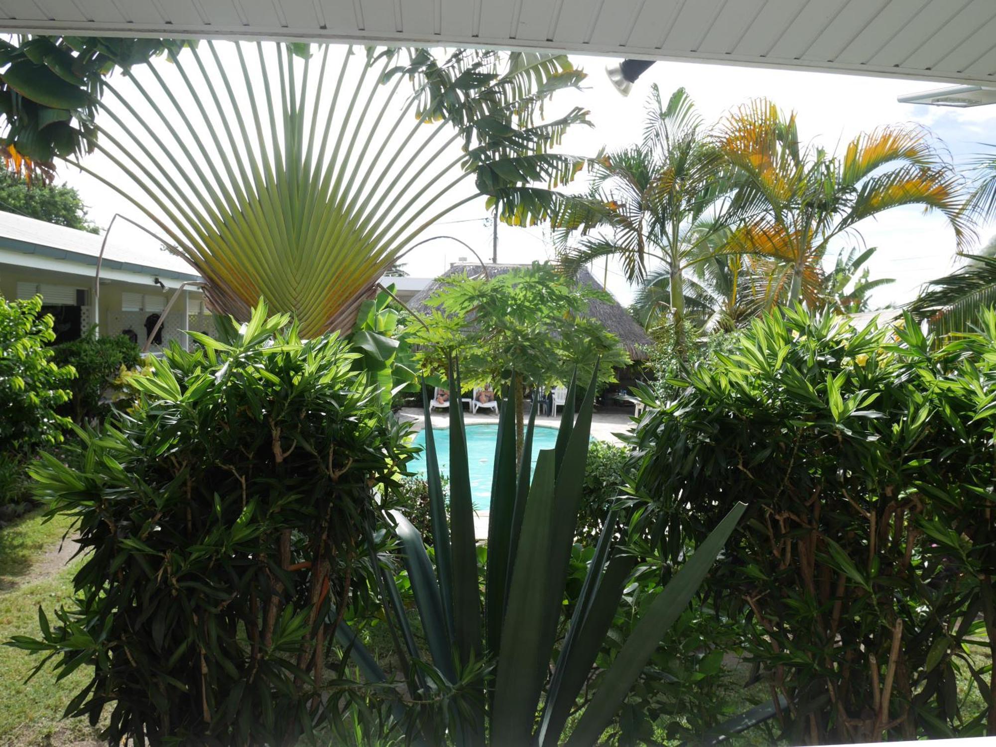 Pension De La Plage Punaauia  Rum bild